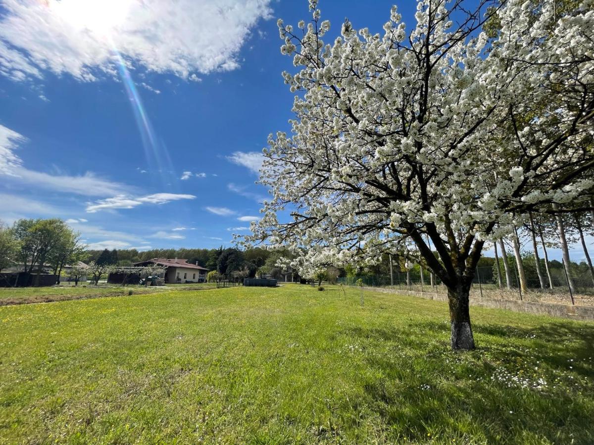 B&B Da Leone Palazzolo dello Stella Buitenkant foto